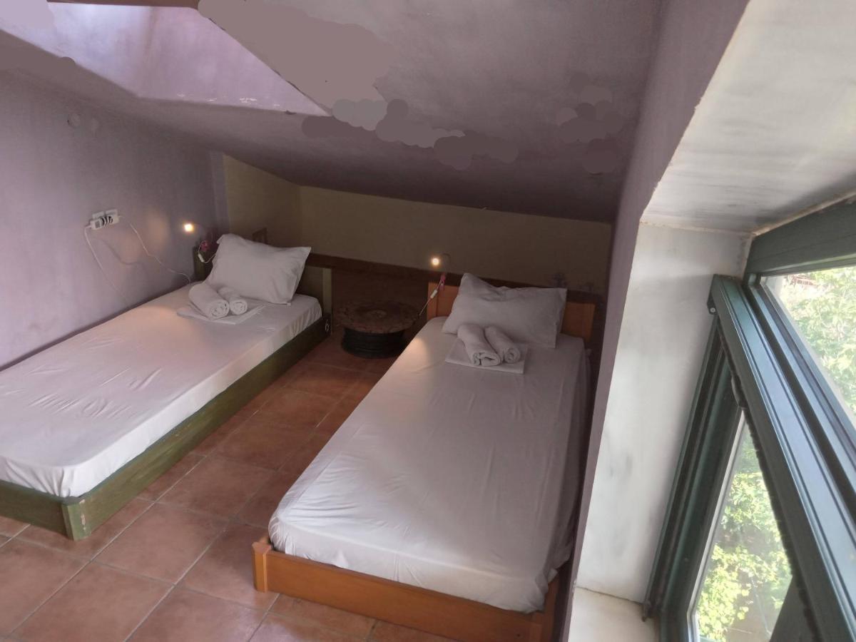 The White Rabbit Guesthouse Eco-Lodge "Cosy Apartment" Psakoudia Exterior foto